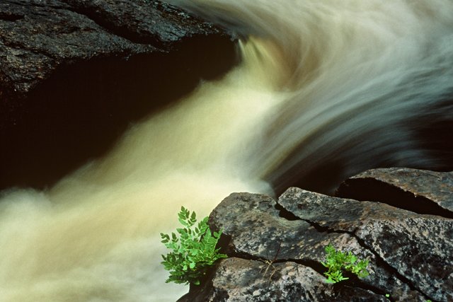 Fern-Middle Branch of the Escanaba River-Gwinn, Mi