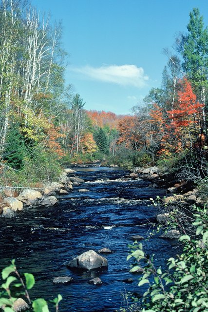 Pesheeke River-Champion, MI