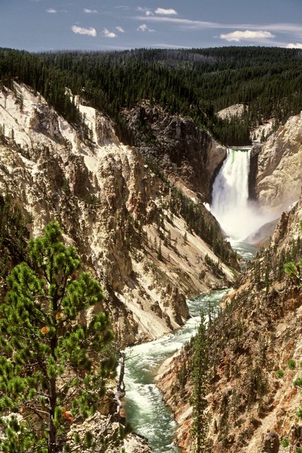 Lower Falls-Yellowstone River