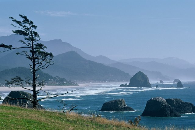 Oregon Coast #2
