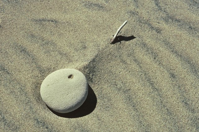 Rock, Stick and Sand-Whitefish Point near Paradise, MI