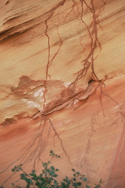 Iron Oxide Rivulets