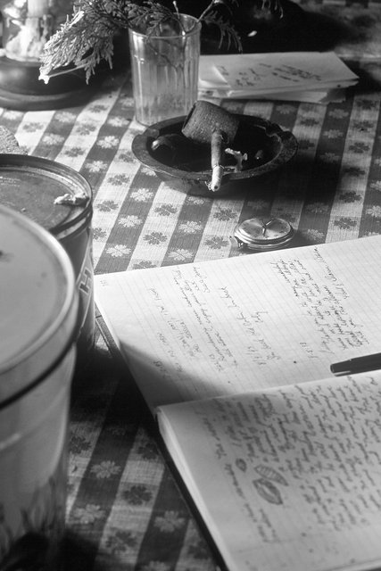 Old Camp Journal