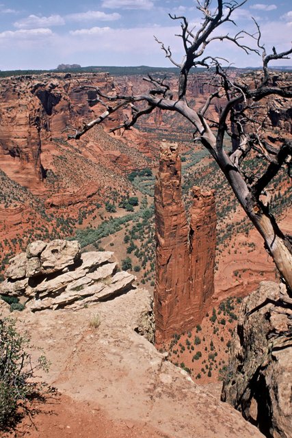 South Rim of Canyon de Chelly