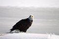 DPC-IMG_3043.jpg