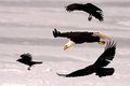 DPC-IMG_3075.jpg