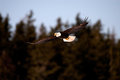DPC-IMG_3108.jpg