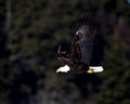 DPC-IMG_3109.jpg
