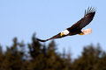 DPC-IMG_3136.jpg