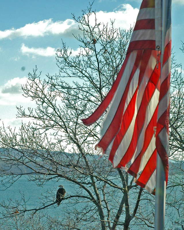 Old Glory