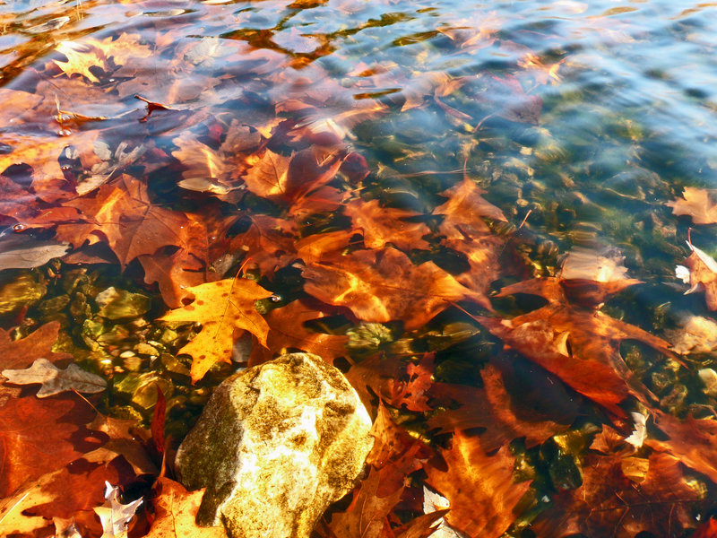 End of Fall
