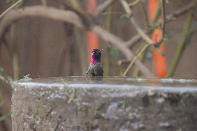 IMG_6839_4058raw file small