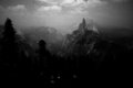 Picture 313b&w.jpg