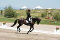 Trot