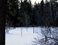 Scene of 'Snow in June', Now in December