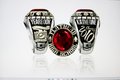 My Awesome School Ring