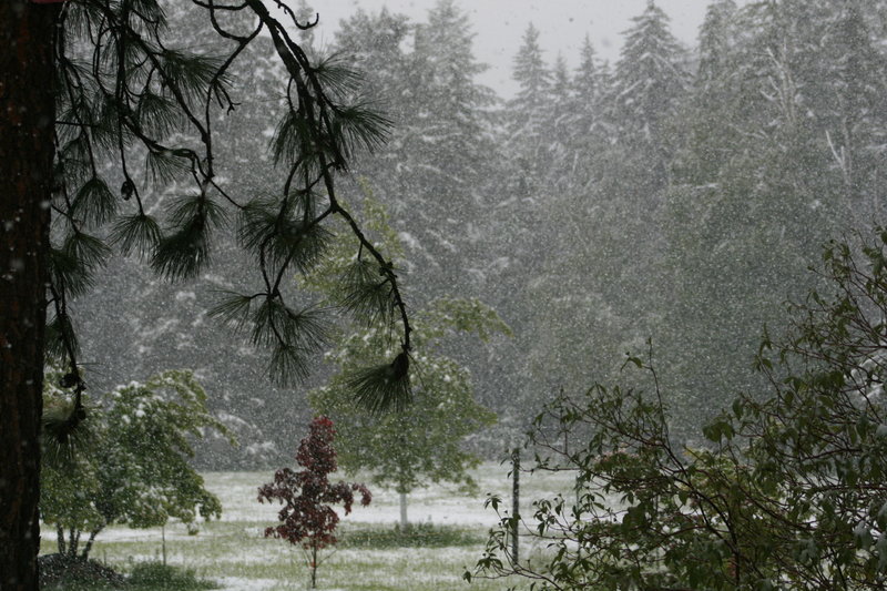 snow in june