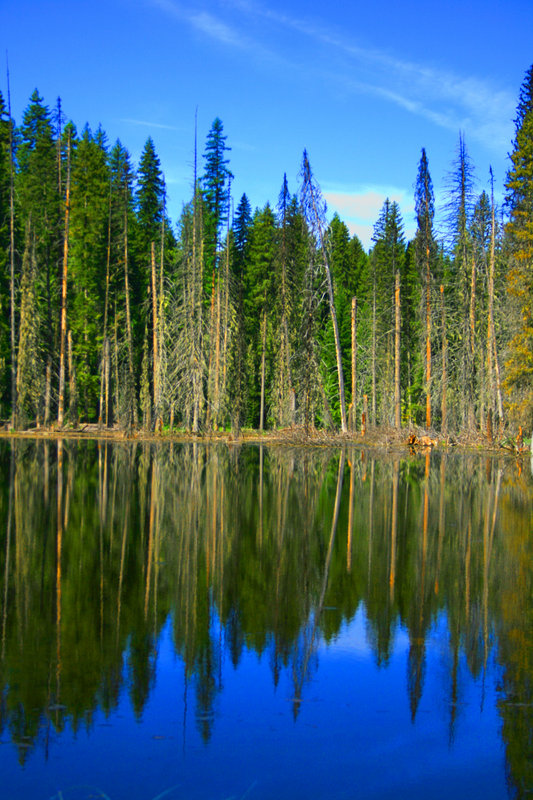 Reflection