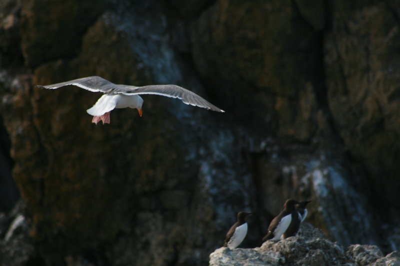 Landing