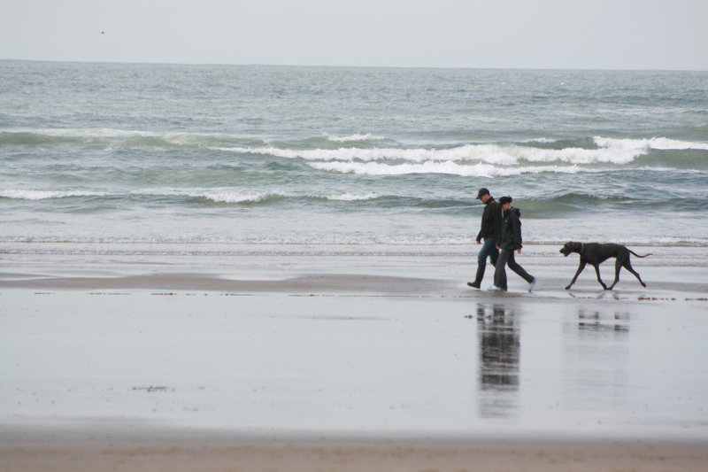 Walking on the Beach