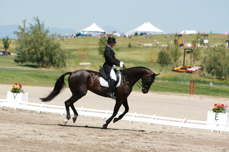 Trot