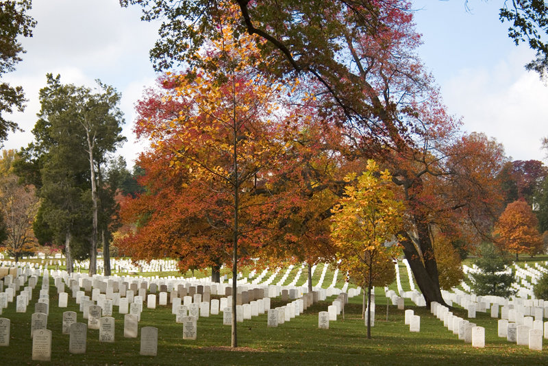 Arlington