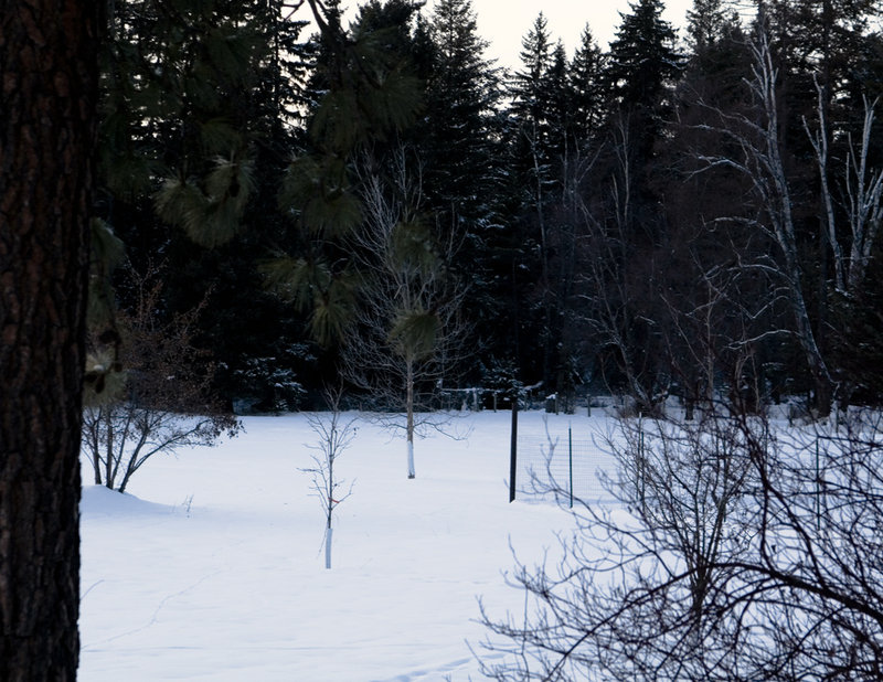 Scene of 'Snow in June', Now in December
