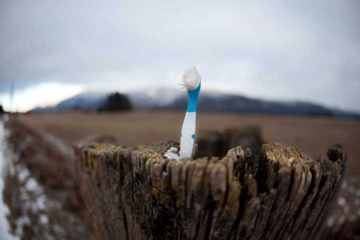 abandoned toothbrush