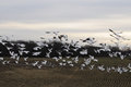 DSC_1031.JPG