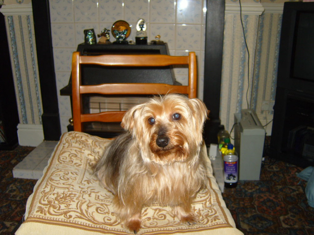 S1030347.JPG