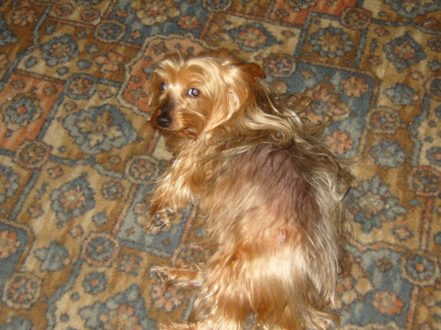 S1030362.jpg