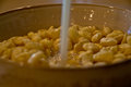 ' . substr('//images.dpchallenge.com/images_portfolio/85000-89999/88254/120/643684.jpg', strrpos('//images.dpchallenge.com/images_portfolio/85000-89999/88254/120/643684.jpg', '/') + 1) . '