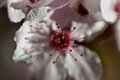 ' . substr('//images.dpchallenge.com/images_portfolio/85000-89999/88254/120/655473.jpg', strrpos('//images.dpchallenge.com/images_portfolio/85000-89999/88254/120/655473.jpg', '/') + 1) . '