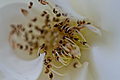 ' . substr('//images.dpchallenge.com/images_portfolio/85000-89999/88254/120/663939.jpg', strrpos('//images.dpchallenge.com/images_portfolio/85000-89999/88254/120/663939.jpg', '/') + 1) . '
