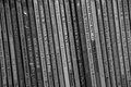 B&W Day ?: Books