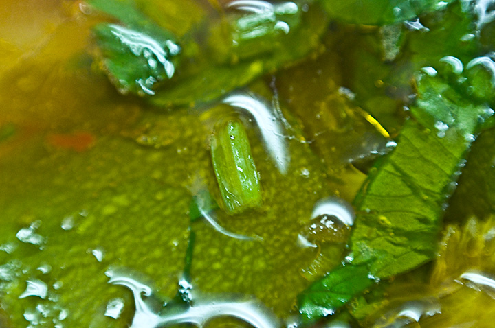 Macro Day 27