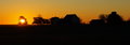 First light.jpg