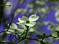 P5100079.jpg