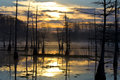 Unspoiled
