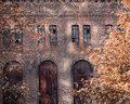 Rusty Windows