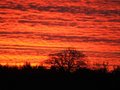 Dawn