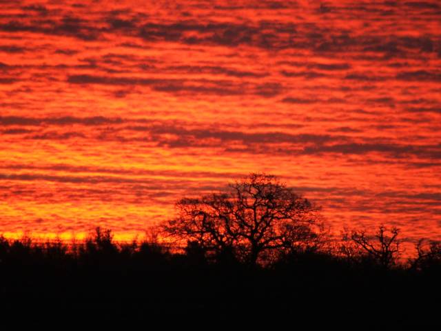 Dawn