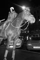 ehorse.jpg