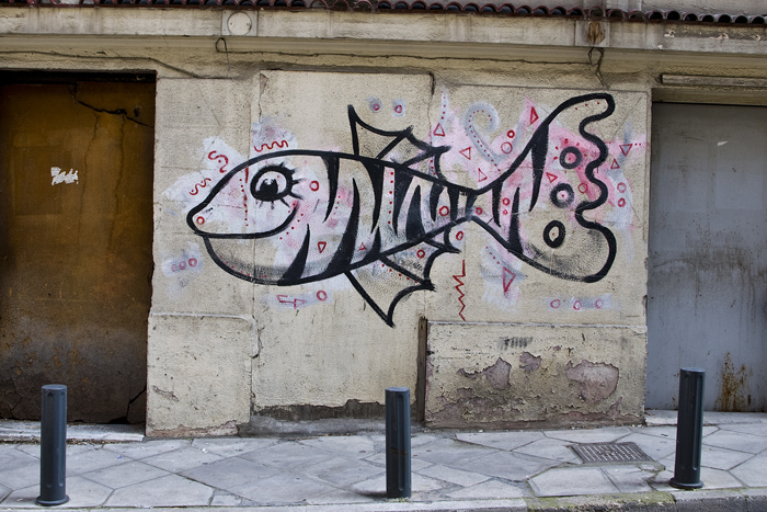 fishdp.jpg