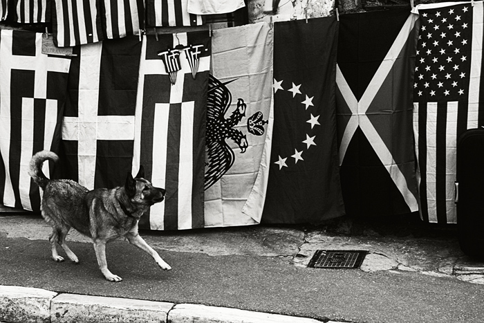 dogflags.jpg