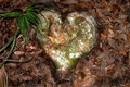 Tree-Heart