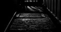 door in the floor