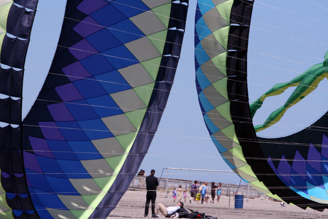 kite
