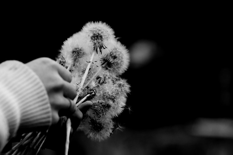 Wish