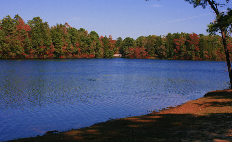 Belleplain State Park